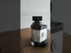 SCB-1623R/1107-1S WD12 Serie 19 Pompa di sterzo a denti per Weichai