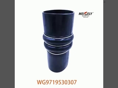 Fuoco di scarico intercooler per Sinotruk WG9719530307 WG9719530227
