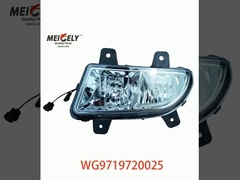 Vendita a caldo WG9719720025 Lampade raggruppate WG9719720001 Per SINOTRUK HOWO TRUCK