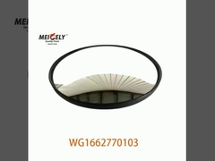 Prezzo economico WG1662770103 Specchio a vista verso il basso per camion SINOTRUK HOWO