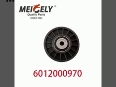 6012000970 9146139 Ricambi per motori per autoveicoli