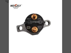 Stai cercando un iniettore diesel compatibile 0445120079 per il tuo veicolo Iveco?