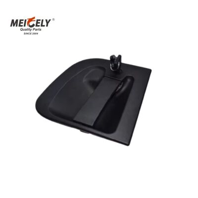 OEM-Grade 5001858130 Sostituzione della maniglia delle porte per camion pesanti Renault