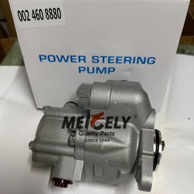 OEM Standard 0024608880 Assemblaggio pompa di sterzo azionato per camion pesanti Benz Actros