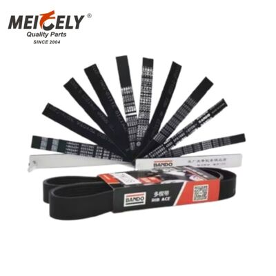 Cinghia Serpentina Standard OEM 25156232 per Motore Mack Truck