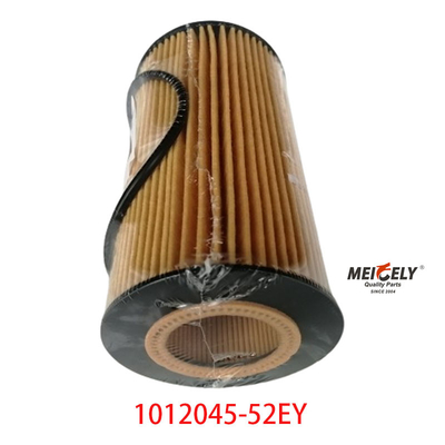 Filtro per olio OEM 1012045-52EY per FAW Dachai Deutz