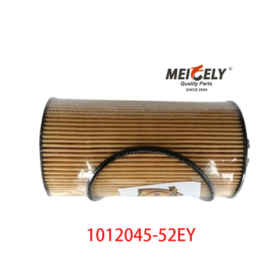 Filtro per olio OEM 1012045-52EY per FAW Dachai Deutz