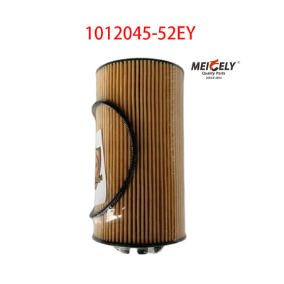 Filtro per olio OEM 1012045-52EY per FAW Dachai Deutz