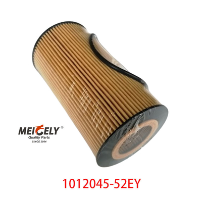 Filtro per olio OEM 1012045-52EY per FAW Dachai Deutz