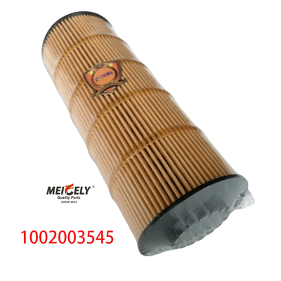 Elemento filtro olio 1002003545 per motore WP7 WP8