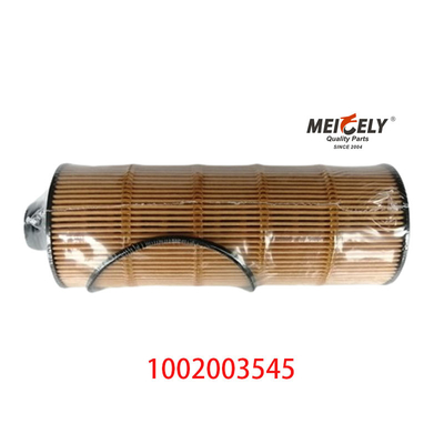 Elemento filtro olio 1002003545 per motore WP7 WP8