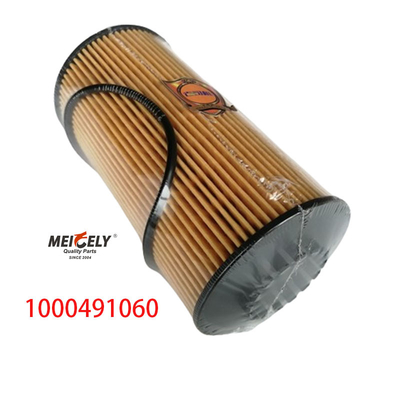 1000491060 FAW Jiefang J6PJH6 Filtro di olio per autocarri