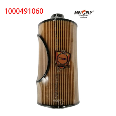 1000491060 FAW Jiefang J6PJH6 Filtro di olio per autocarri