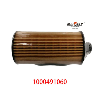 1000491060 FAW Jiefang J6PJH6 Filtro di olio per autocarri