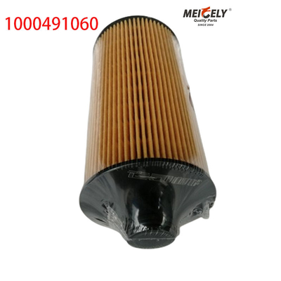1000491060 FAW Jiefang J6PJH6 Filtro di olio per autocarri