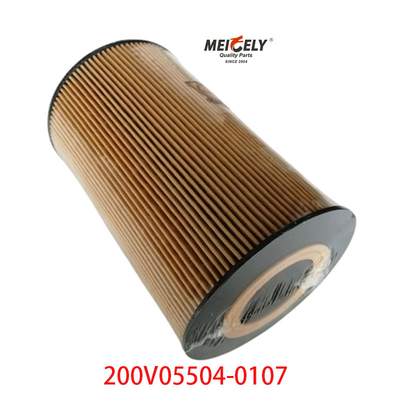 Motore diesel 200V05504-0107 Filtro olio Sinotruk SITRAK T7H
