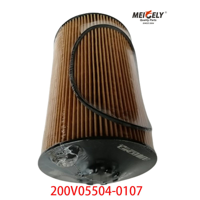 Motore diesel 200V05504-0107 Filtro olio Sinotruk SITRAK T7H