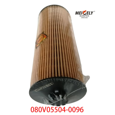 Stoccaggio OEM 080V05504-0096 Per SINOTRUK Howo T5G filtro per camion