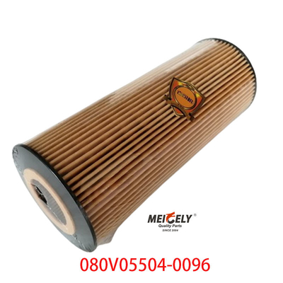 Stoccaggio OEM 080V05504-0096 Per SINOTRUK Howo T5G filtro per camion