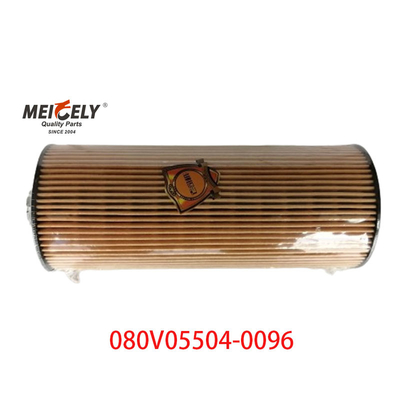Stoccaggio OEM 080V05504-0096 Per SINOTRUK Howo T5G filtro per camion