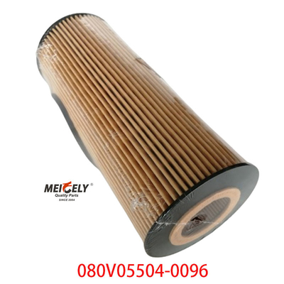 Stoccaggio OEM 080V05504-0096 Per SINOTRUK Howo T5G filtro per camion