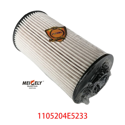 Stock 1105204E5233 Filtro di carburante per JAC Jianghuai Junling