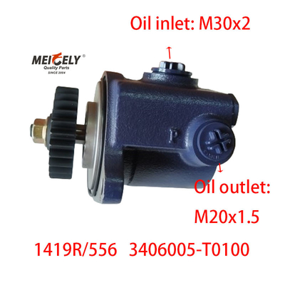 Blade Pump 1419R/556 DONGFENG RENAULT Servo Steering Pump