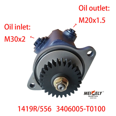 Blade Pump 1419R/556 DONGFENG RENAULT Servo Steering Pump