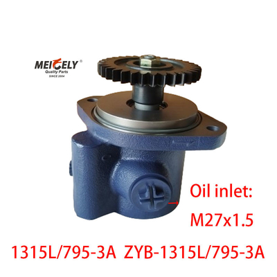 Vendita a caldo Hyundai Power Steering Pump Fuso 1315L/795-3A