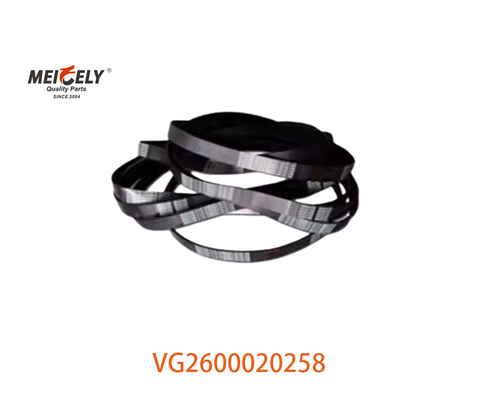 Vendita a caldo VG2600020258 Cintura alternatore Motore Ricambi per HOWO