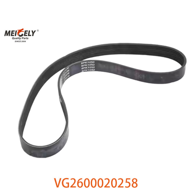 Vendita a caldo VG2600020258 Cintura alternatore Motore Ricambi per HOWO