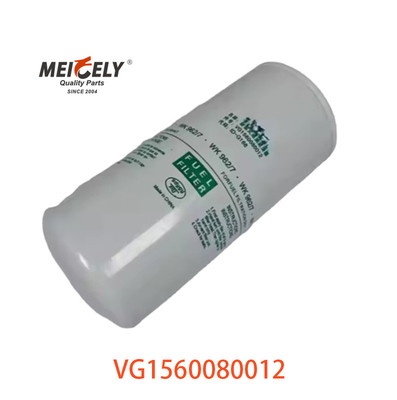 VG1560080012 Filtro del carburante 20805349 Per SINOTRUK CNHTC HOWO
