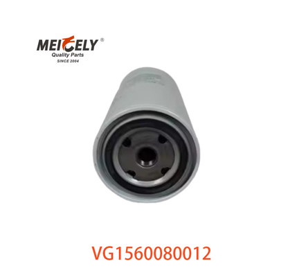 VG1560080012 Filtro del carburante 20805349 Per SINOTRUK CNHTC HOWO