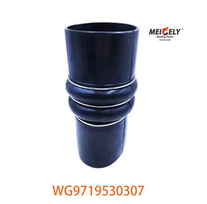 Servizio di scarico di intercooler resistente per Sinotruk WG9719530307 WG9719530227
