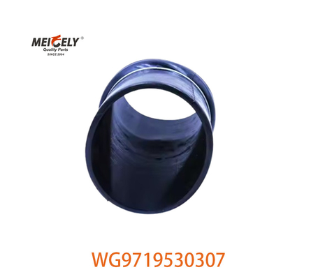 Servizio di scarico di intercooler resistente per Sinotruk WG9719530307 WG9719530227
