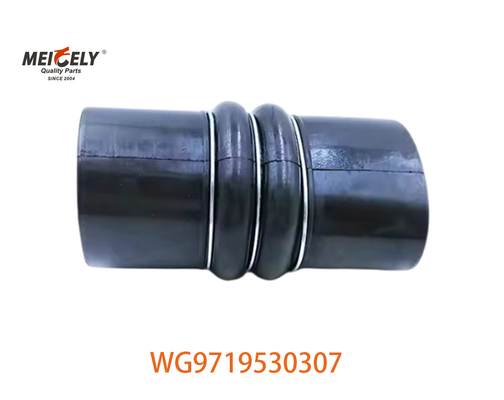 Servizio di scarico di intercooler resistente per Sinotruk WG9719530307 WG9719530227