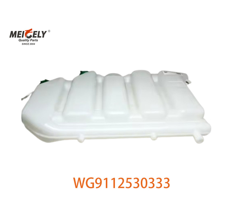 Nuovo WG9112530333 Assemblaggio del serbatoio d'acqua di espansione per Howo AZ9112530333