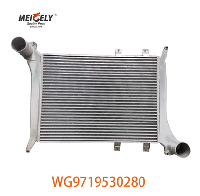 OEM WG9719530280 Per Howo Intercooler Assemblaggio WG9719530281