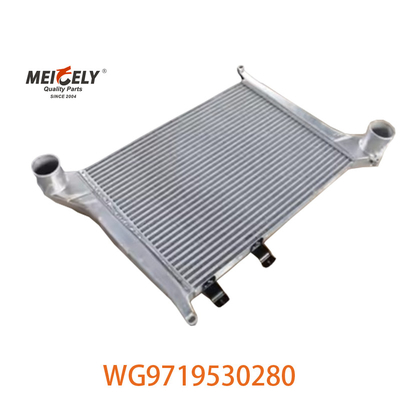 OEM WG9719530280 Per Howo Intercooler Assemblaggio WG9719530281