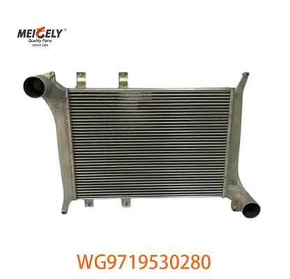 OEM WG9719530280 Per Howo Intercooler Assemblaggio WG9719530281