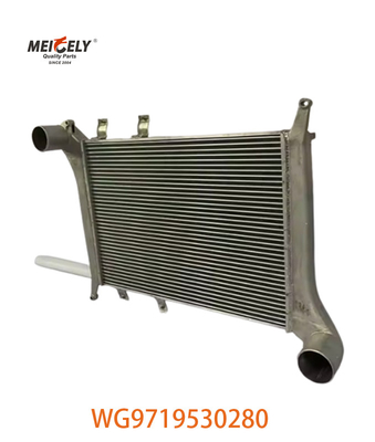 OEM WG9719530280 Per Howo Intercooler Assemblaggio WG9719530281