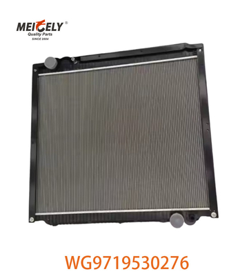 WG9719530276 Assemblaggio radiatore originale WG9725530270 Adatto per camion HOWO