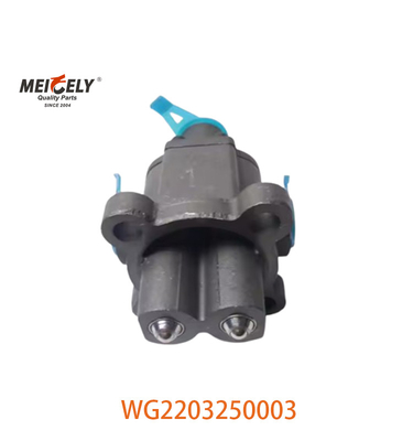 Assetto originale di valvole a doppia H per HOWO OE numero WG2203250003