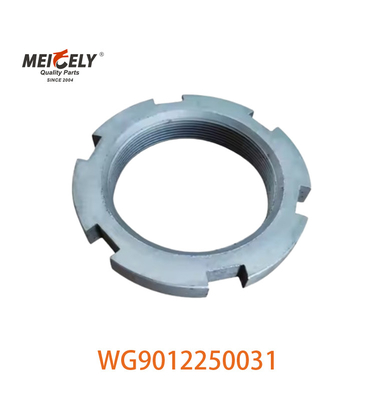 Disponibile in immagine WG9012250031 Nocciolo per camion pesante per camion Sinotruk Howo