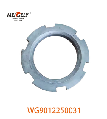 Disponibile in immagine WG9012250031 Nocciolo per camion pesante per camion Sinotruk Howo