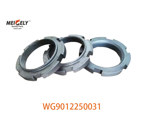 Disponibile in immagine WG9012250031 Nocciolo per camion pesante per camion Sinotruk Howo
