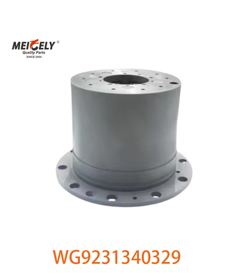 WG9231340329 Display di immagine per il modello di auto SINOTRUK HOWO