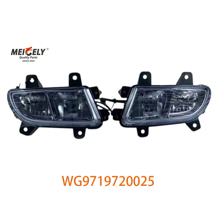 Sinotruk Howo Motor Heavy Duty Truck Lampade raggruppate WG9719720025 WG9719720001