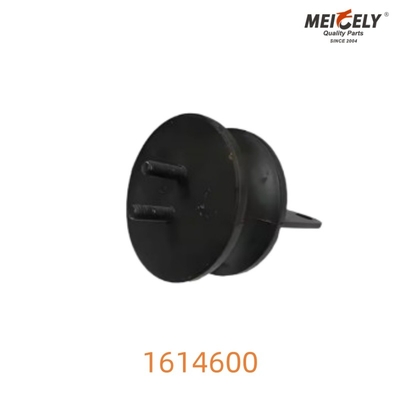 1614600 Montaggio del radiatore per Volvo