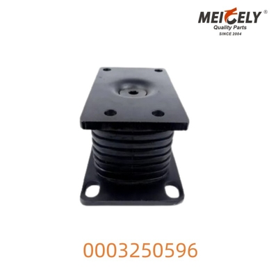 0003250596 Montaggio a molla cavo per Benz Actros Durable